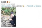 中国娱乐圈吃瓜男星是谁,那些被热议的“吃瓜男星”